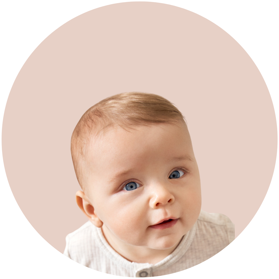 Bebe Niño