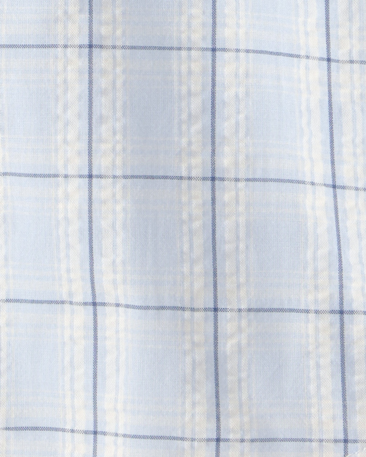Camisa De Botones A Cuadros Azul - Multi